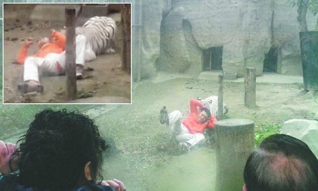 Pria China Diterkam Harimau karena Kepingin Dimangsa